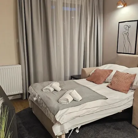 Zakopianski Z Ogrodkiem - Jacuzzi & Sauna & Silownia & Plac Zabaw Apartment
